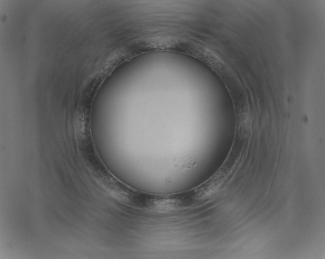 X0000073510268200608211747