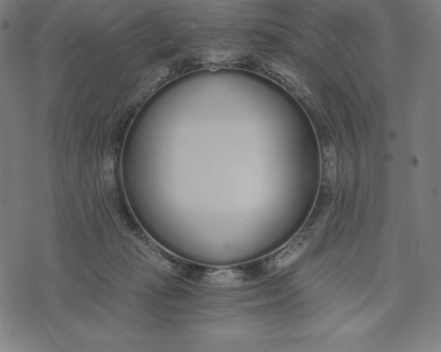 X0000073510269200608211747