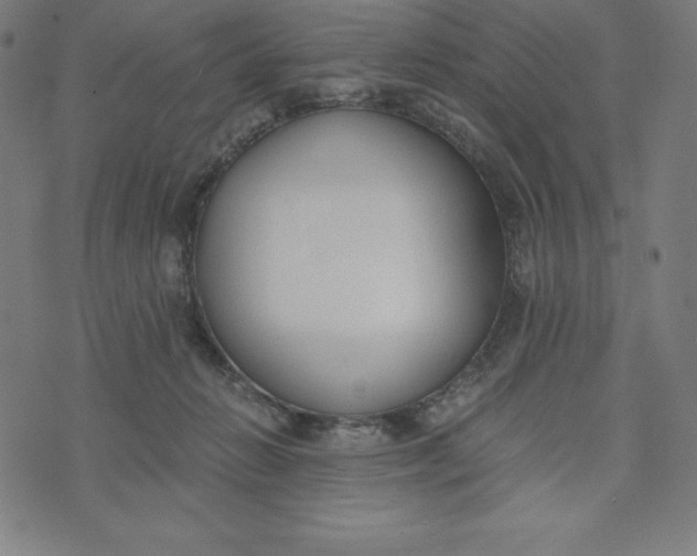 X0000073510270200608211747