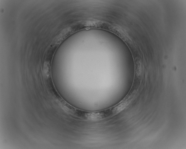 X0000073510273200608211747