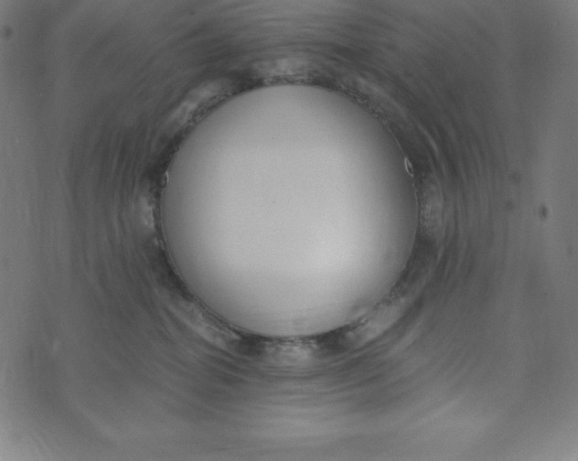 X0000073510282200608211747