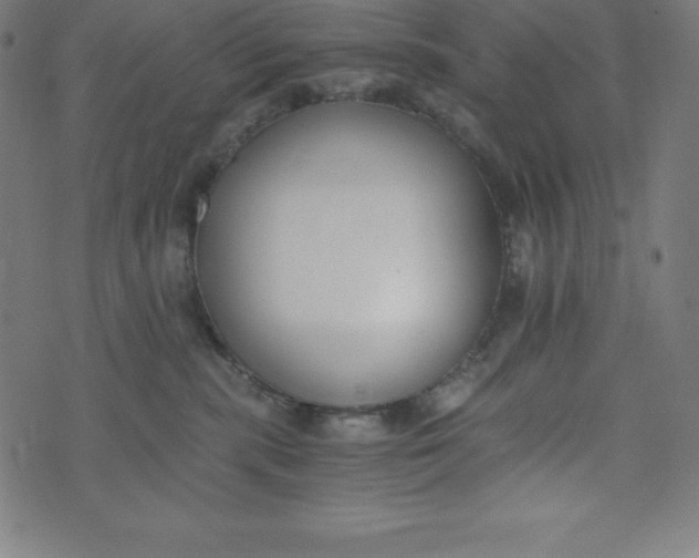 X0000073510283200608211747
