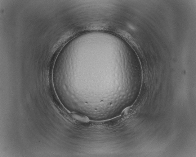 X0000073510299200608211746