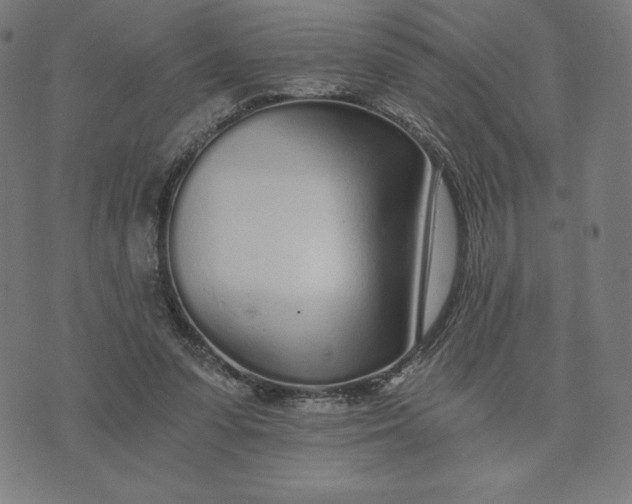 X0000073510303200608211746