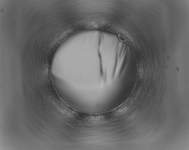 X0000073510314200608211746