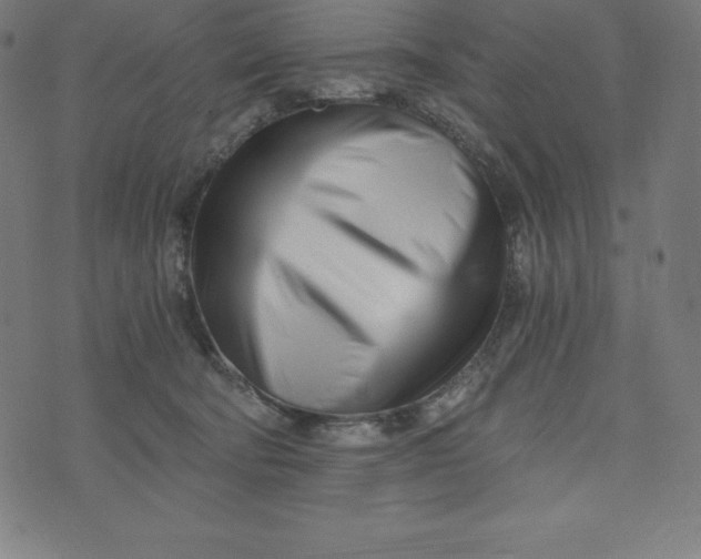 X0000073510322200608211746