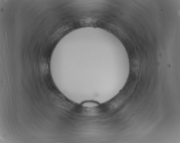 X0000073510324200608211746