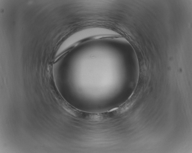 X0000073510325200608211746