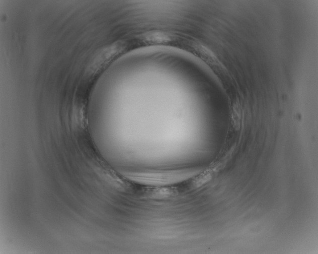 X0000073510330200608211746