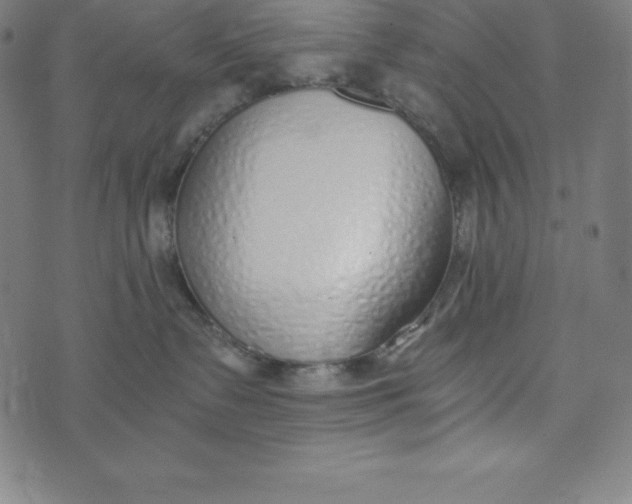 X0000073510335200608211746