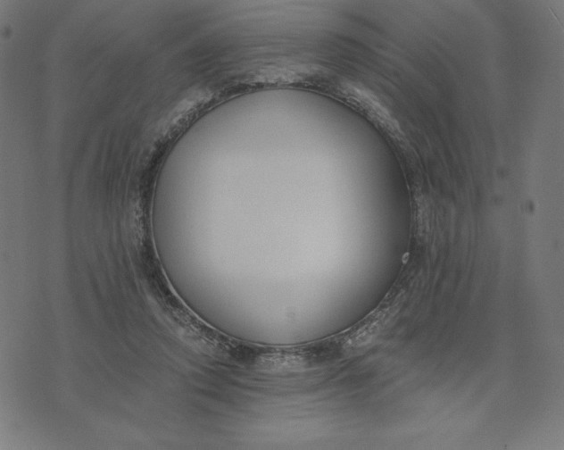 X0000073510354200608211745