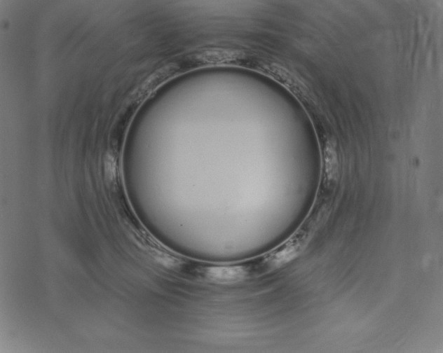 X0000073510371200608211746