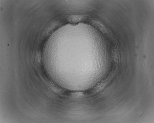 X0000073510374200608211746