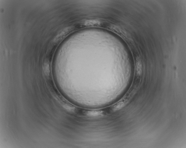 X0000073510375200608211746