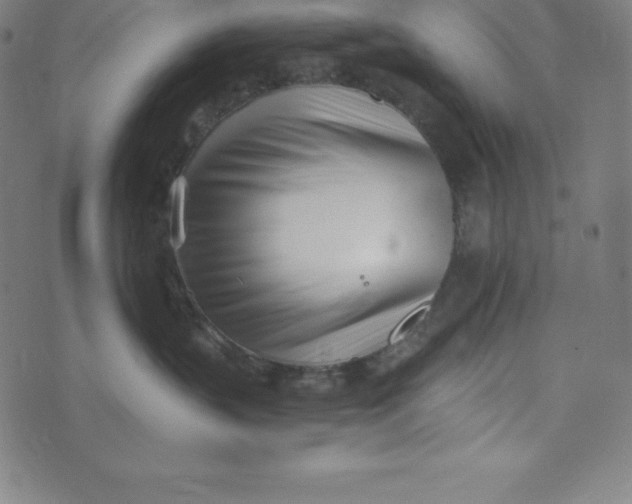 X0000073510383200608211746