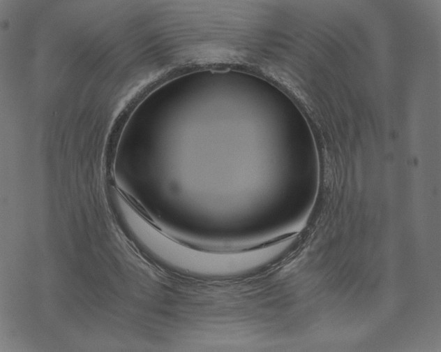 X0000073510391200608211745