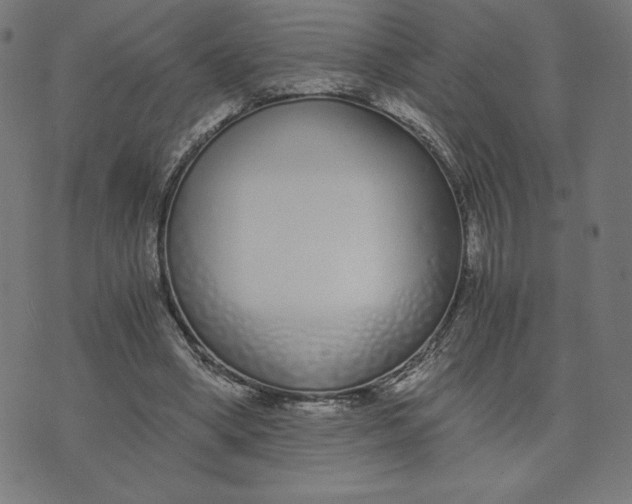 X0000073510394200608211745