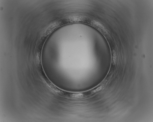 X0000073510410200608211745