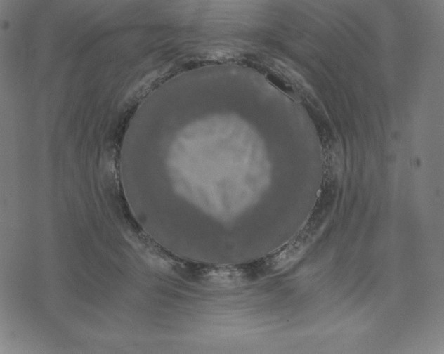 X0000073510415200608211744