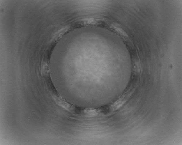X0000073510419200608211744