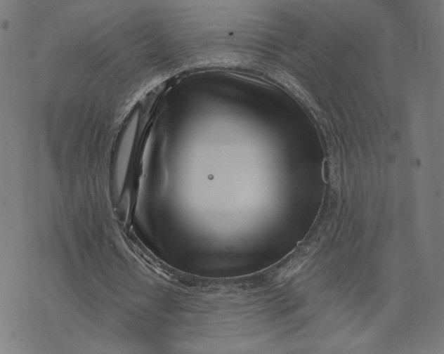 X0000073510434200608211743