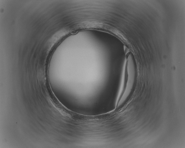X0000073510438200608211743