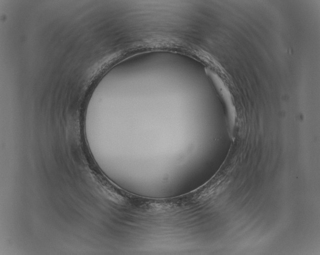 X0000073510442200608211744