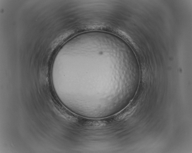 X0000073510443200608211744