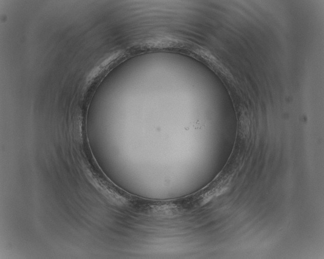 X0000073510446200608211744