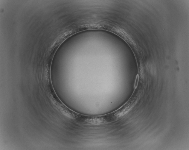 X0000073510449200608211744