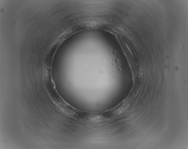 X0000073510456200608211744