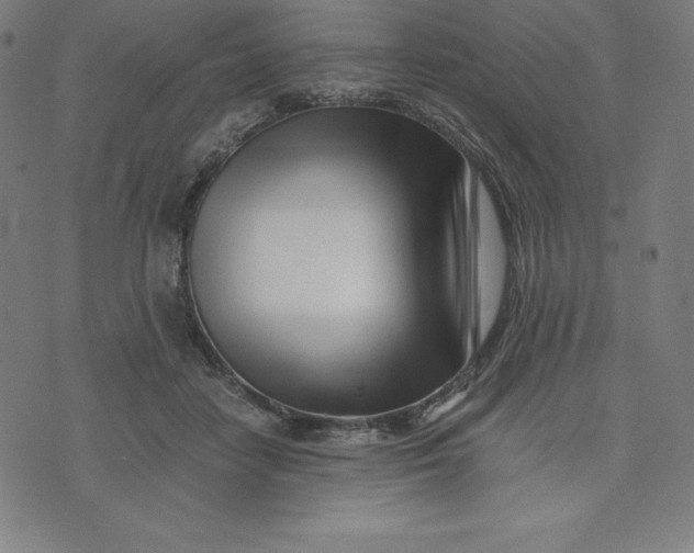 X0000073510458200608211744