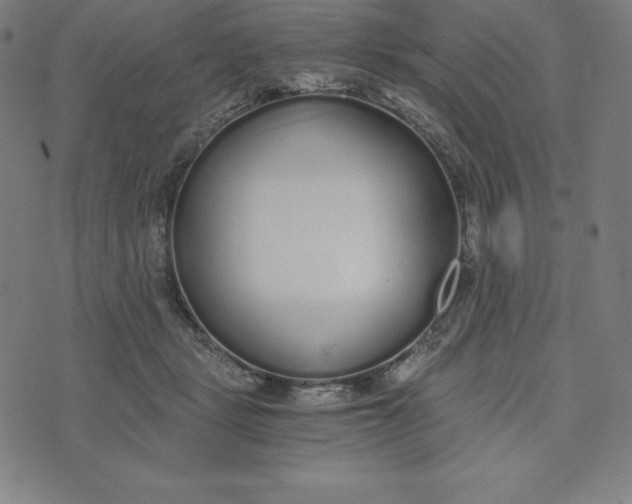 X0000073510461200608211744