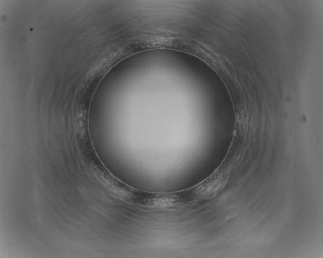 X0000073510462200608211744