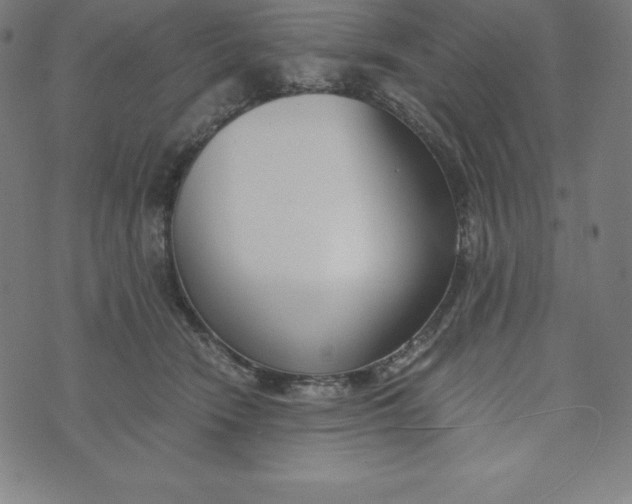 X0000073510466200608211744