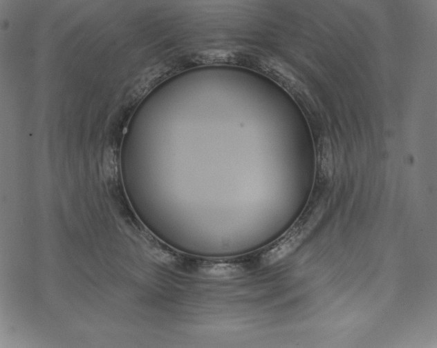 X0000073510467200608211744