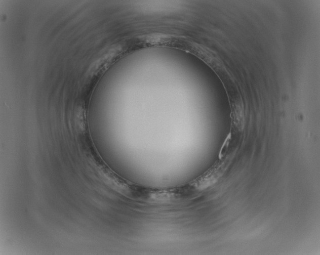 X0000073510470200608211744