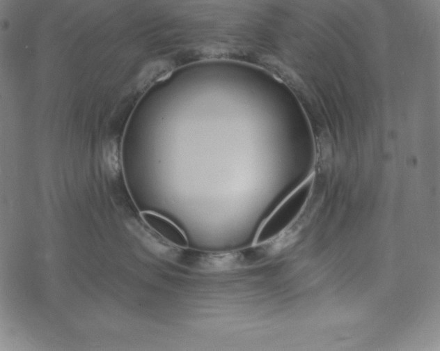 X0000073510479200608211744