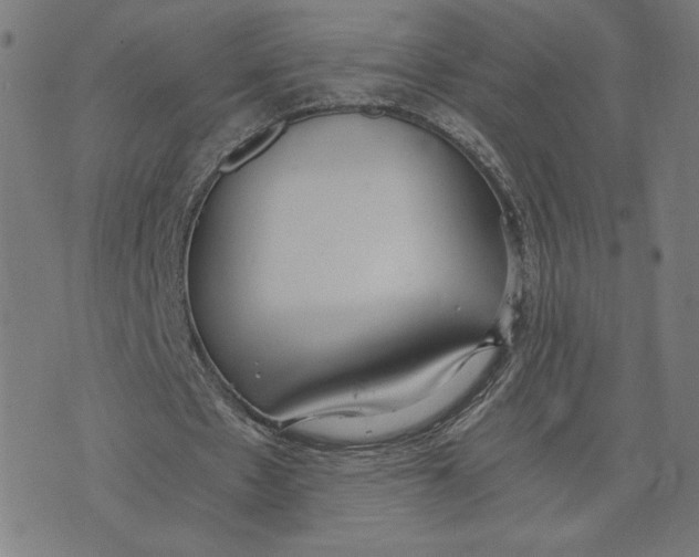 X0000073510481200608211743