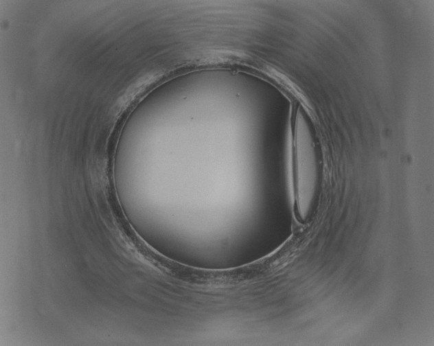 X0000073510485200608211743
