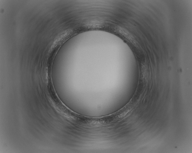 X0000073510494200608211743