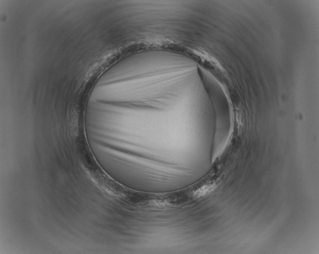 X0000073510496200608211743