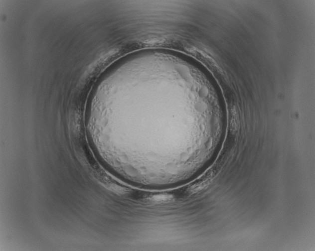 X0000073510499200608211743