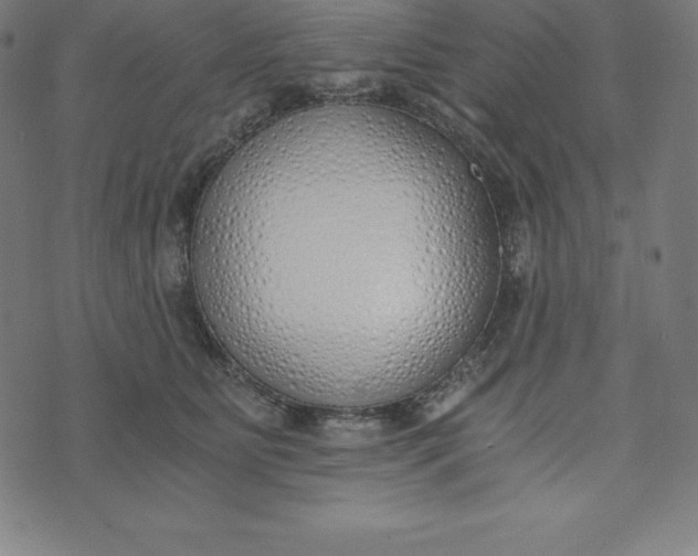 X0000073510515200608211743