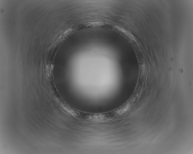 X0000073510517200608211743