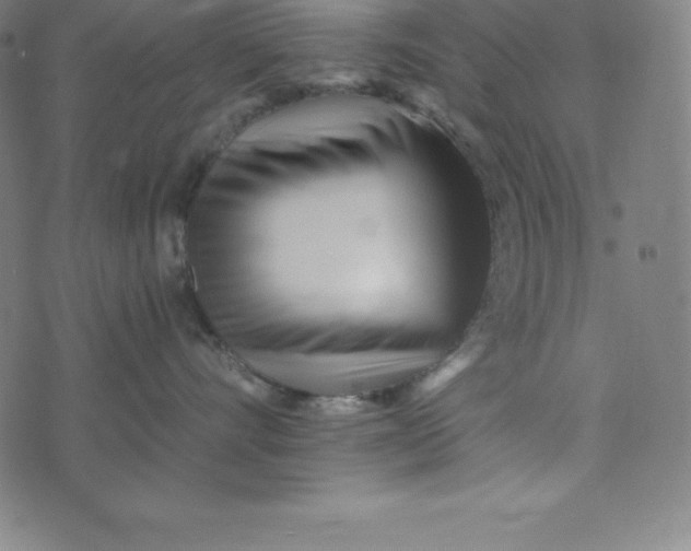 X0000073510528200608211743