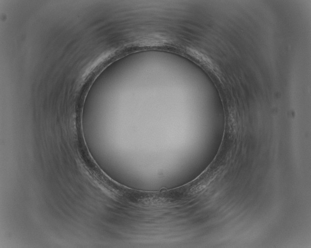 X0000073510535200608211742