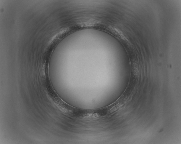 X0000073510543200608211742