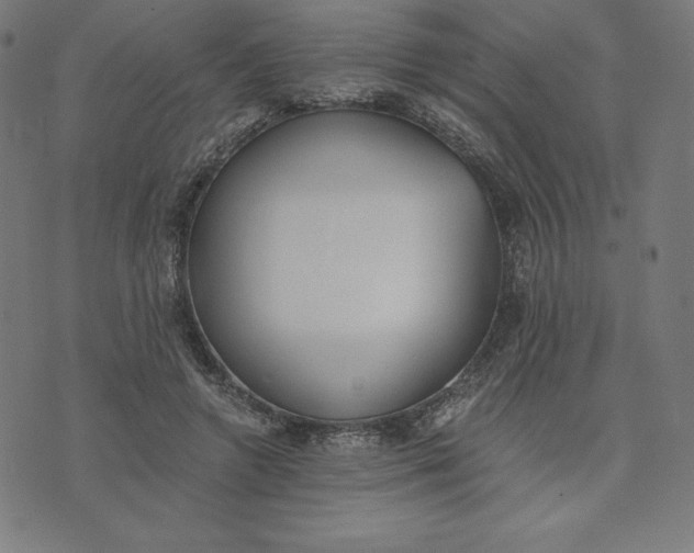X0000073510546200608211742