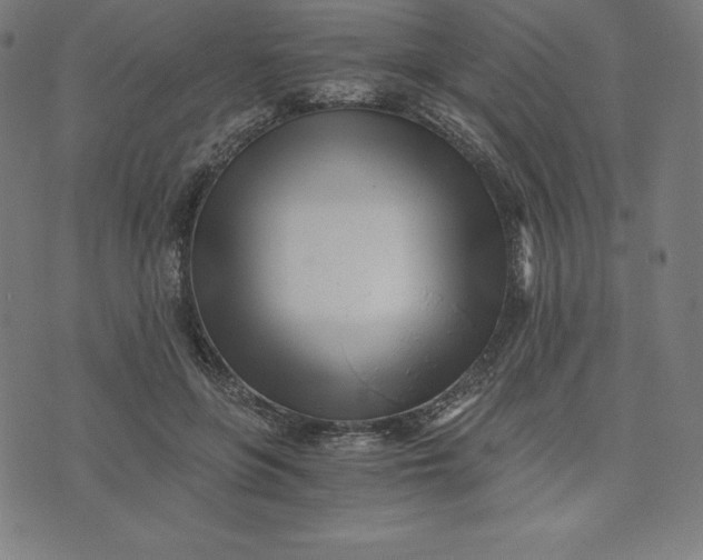 X0000073510551200608211742